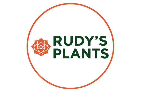 Rudy's Plants